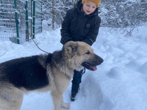 Очень хотелось написать милую рождественскую историю со счастливым концом, но не получиться. 01