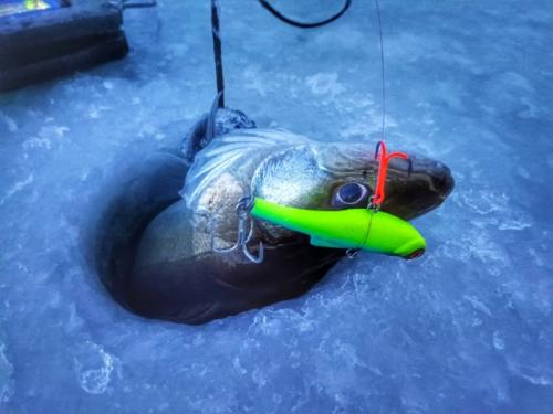 Вчера с тестем отправился на утреннюю фитнес тренировку с буром вместо штанги! 01 Вчера с тестем отправился на утреннюю фитнес тренировку с буром вместо штанги! 01