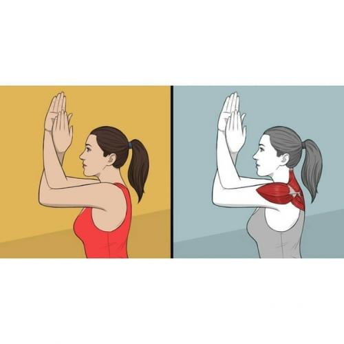 Этот комплекс из 8 упражнений будет особенно полезен для тех, кто проводит долгие часы в офисе перед компьютером. 06