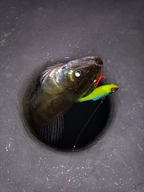 Вчера с тестем отправился на утреннюю фитнес тренировку с буром вместо штанги! 05 Вчера с тестем отправился на утреннюю фитнес тренировку с буром вместо штанги! 05