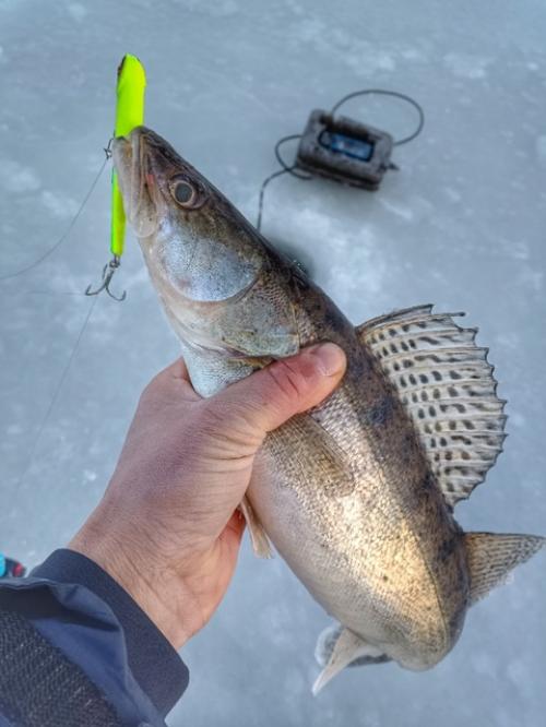 Вчера с тестем отправился на утреннюю фитнес тренировку с буром вместо штанги! 03 Вчера с тестем отправился на утреннюю фитнес тренировку с буром вместо штанги! 03