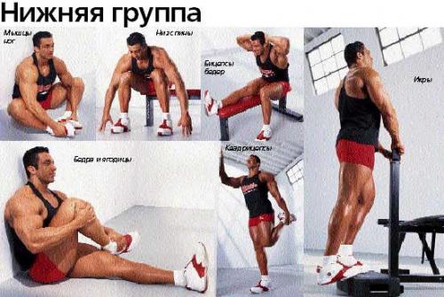 Растяжка мышц после тренировки! 01 Растяжка мышц после тренировки! 01