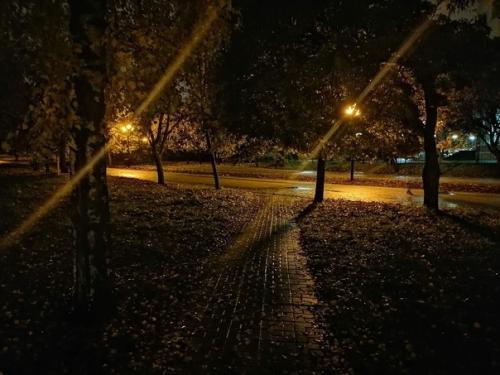 Фитнес - селфи - фото - куда же без этого жанра! 03