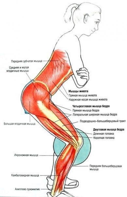 Упражнения для ягодиц и ног? 05 Упражнения для ягодиц и ног? 05