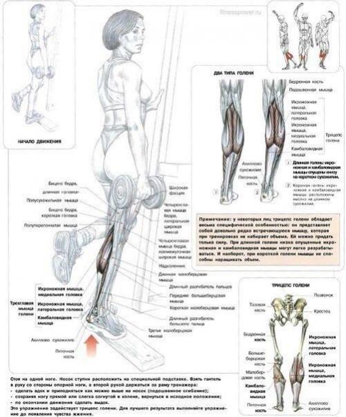 22 лучших упражнения для идеальных ягодиц. 05