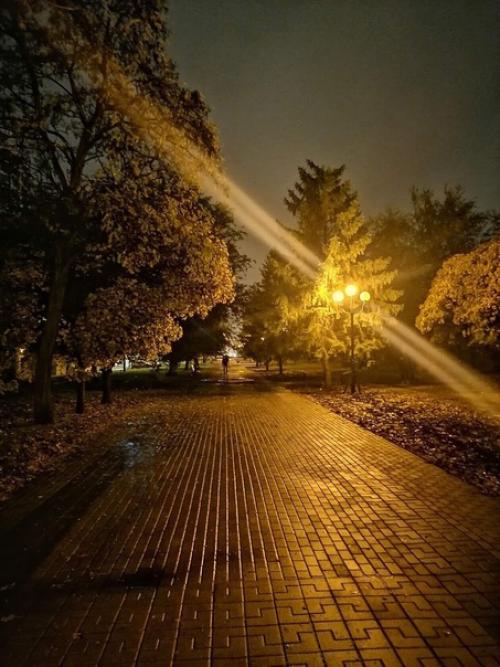 Фитнес - селфи - фото - куда же без этого жанра! 04