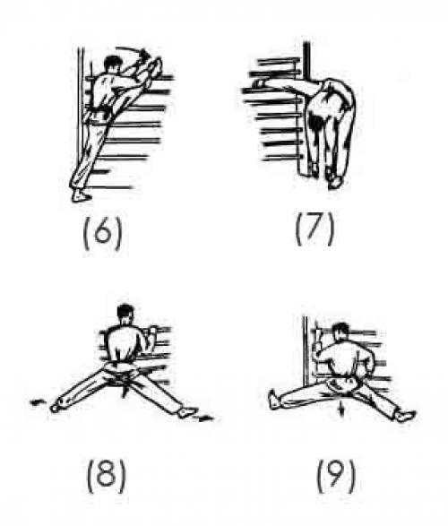 Развитие гибкости. Развитие гибкости нужно отнюдь не только тем, кто занимается танцами. 01 Развитие гибкости. Развитие гибкости нужно отнюдь не только тем, кто занимается танцами. 01