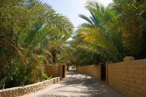 Мини - гид по городу аль Айн (эмират Абу - даби? 03