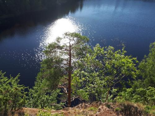 Искусство маленьких и больших шагов. 01