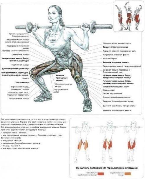 Топ - 22 лучших упражнения для идеальных ягодиц? 03 Топ - 22 лучших упражнения для идеальных ягодиц? 03