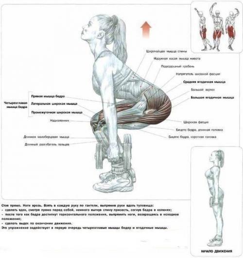 Топ - 22 лучших упражнения для идеальных ягодиц? 04 Топ - 22 лучших упражнения для идеальных ягодиц? 04