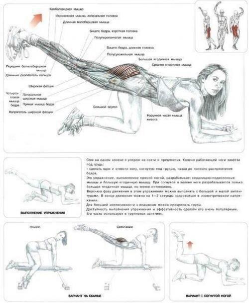 Топ - 22 лучших упражнения для идеальных ягодиц? 05 Топ - 22 лучших упражнения для идеальных ягодиц? 05