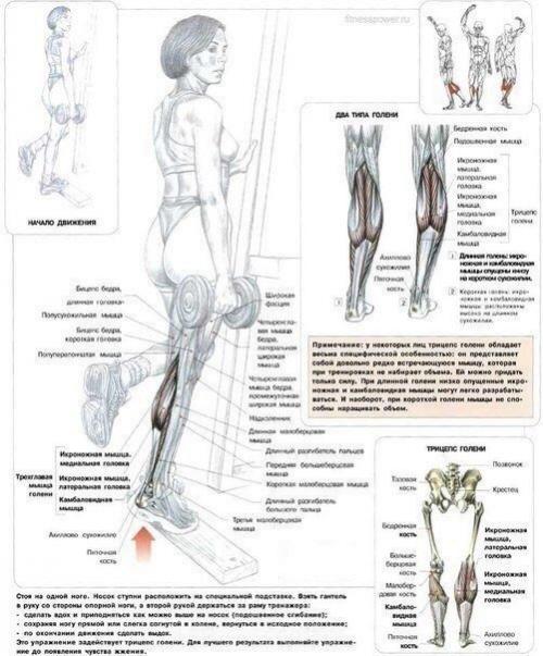 Топ - 22 лучших упражнения для идеальных ягодиц? 01 Топ - 22 лучших упражнения для идеальных ягодиц? 01