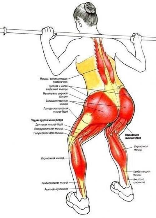 Упражнения для ягодиц и ног. 03 Упражнения для ягодиц и ног. 03