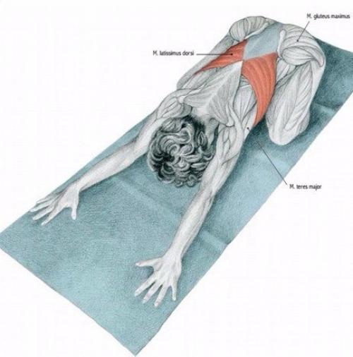 Растяжка мышц до и после тренировки? 04