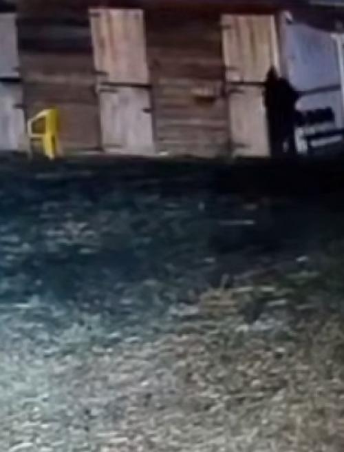 Эпизод 907.  Жестокость в волжском. 01