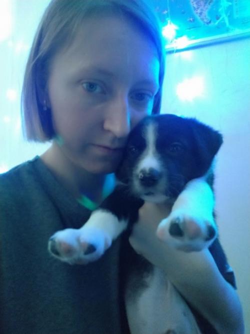 Ничего интересного пока нет. 03