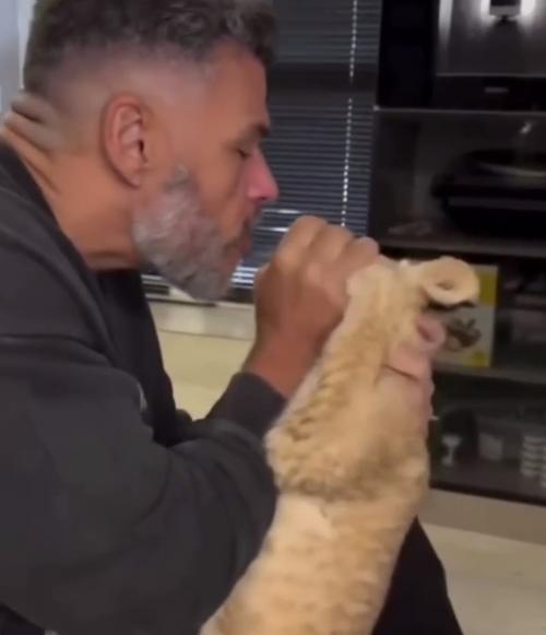 Эпизод 975.  Домашний тигр.
