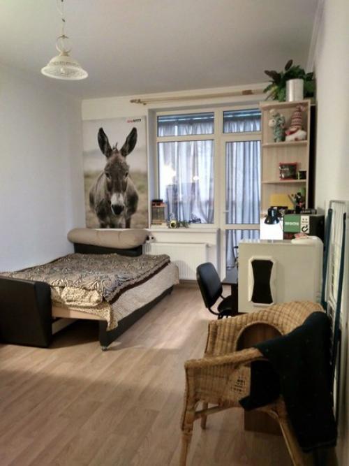 Сдаю на длительный срок студию, 25 м? 03