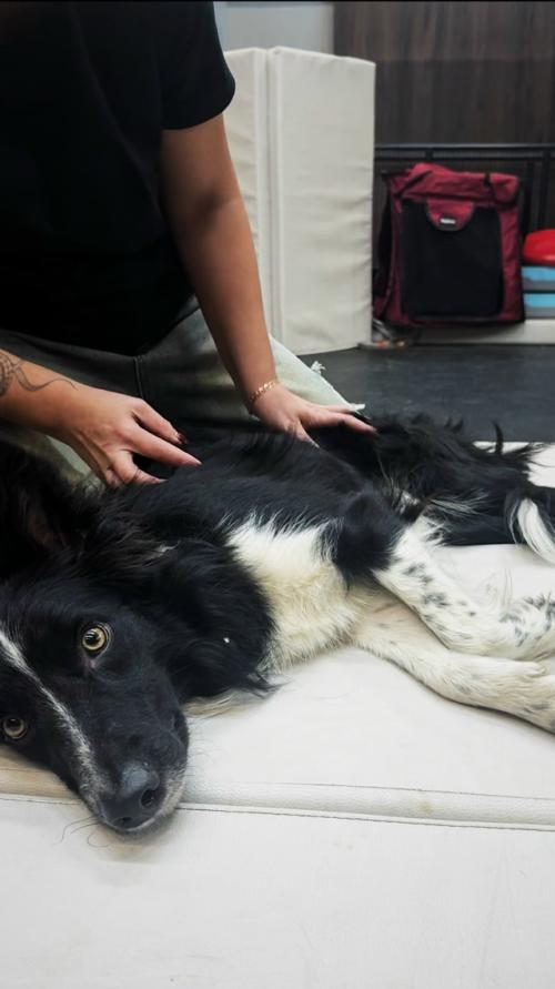 В последние пару дней много чего новенького было. 01