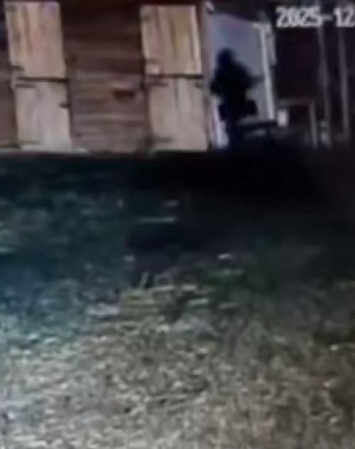 Эпизод 907.  Жестокость в волжском.
