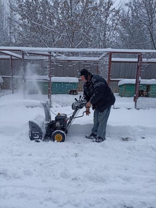 Субботник и воскресник состоялись. 01