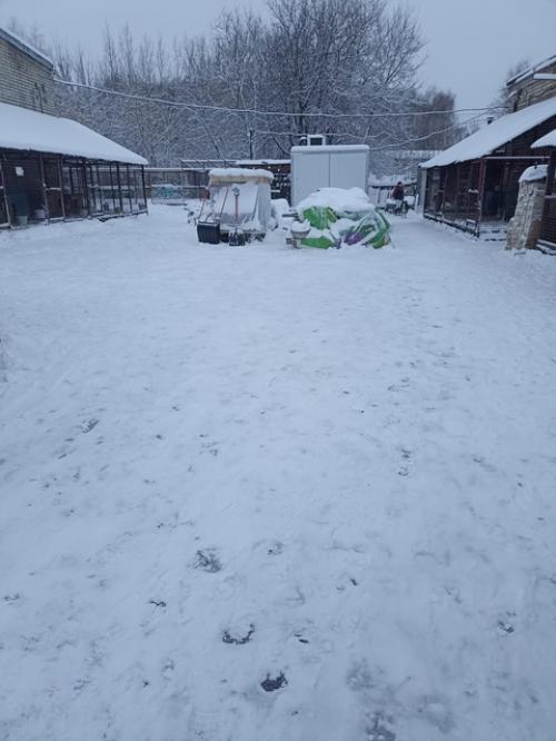 Субботник и воскресник состоялись. 02