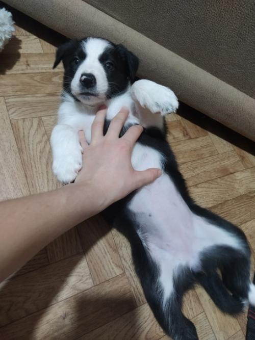 Ничего интересного пока нет. 01