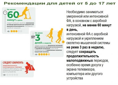 Тренировки - это один из вариантов физической активности. 05
