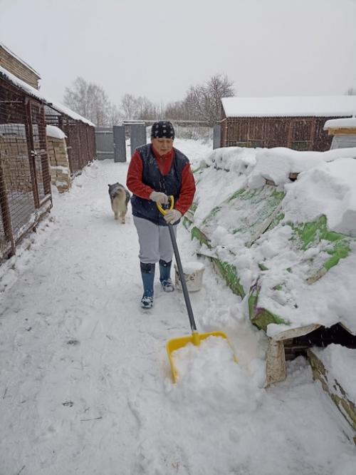Субботник и воскресник состоялись. 06