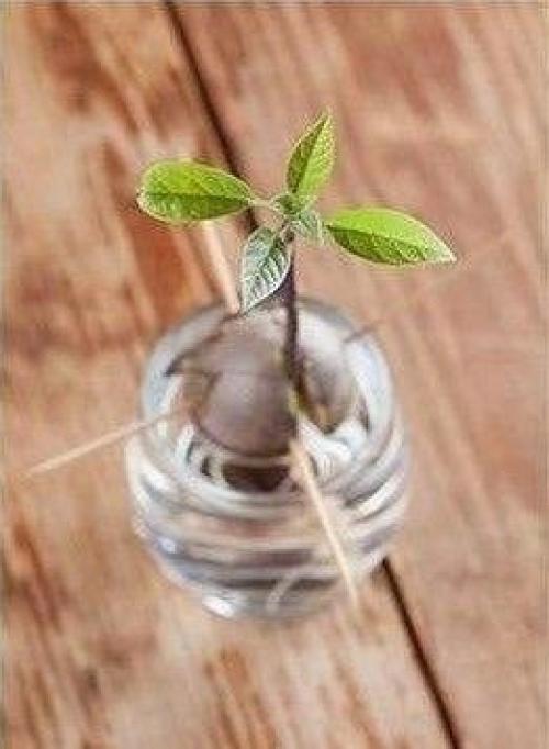 Художница с диагнозом Аутизм и хорошей растяжкой смогла изобрести уникальный вид искусства в стиле авангард!   Как вам? 04