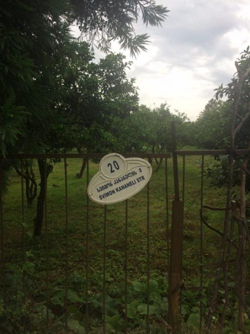 2018 год.  Йога тур в Грузии. 03