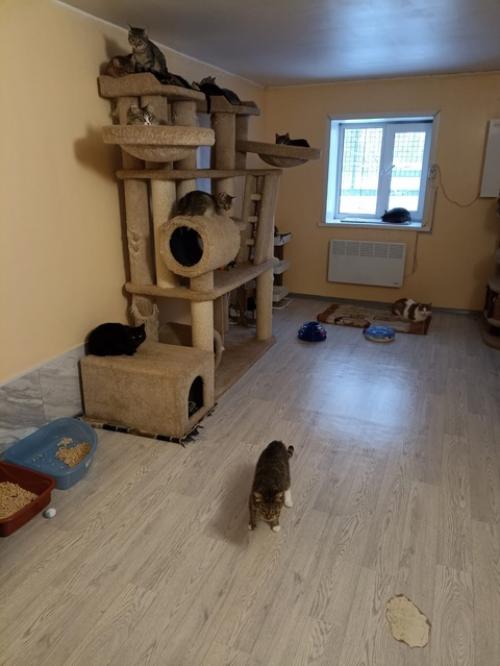 Субботник и воскресник состоялись. 08