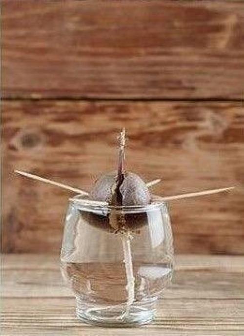 Художница с диагнозом Аутизм и хорошей растяжкой смогла изобрести уникальный вид искусства в стиле авангард!   Как вам? 03