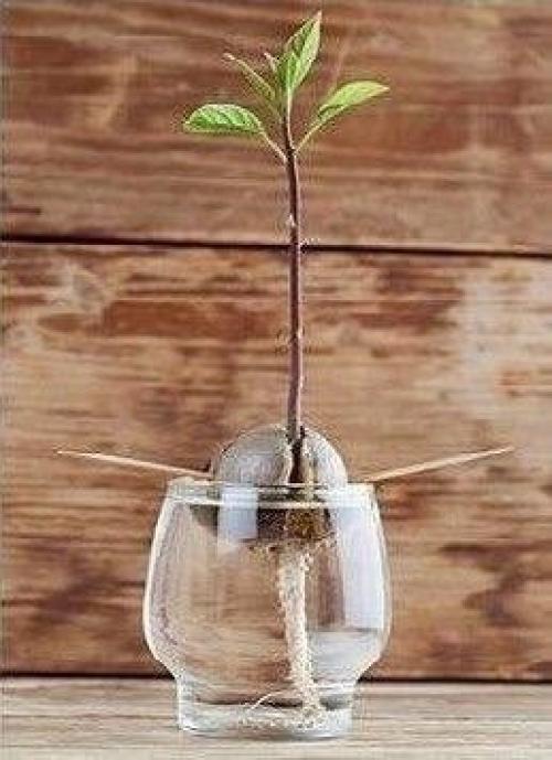 Художница с диагнозом Аутизм и хорошей растяжкой смогла изобрести уникальный вид искусства в стиле авангард!   Как вам? 05