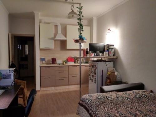 Сдаю на длительный срок студию, 25 м? 06