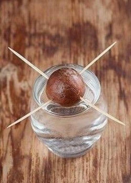 Художница с диагнозом Аутизм и хорошей растяжкой смогла изобрести уникальный вид искусства в стиле авангард!   Как вам? 01