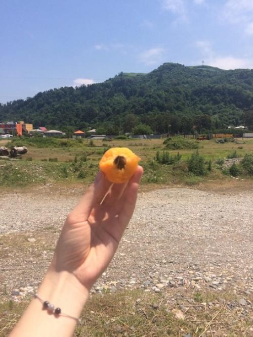 2018 год.  Йога тур в Грузии. 07