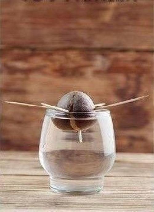 Художница с диагнозом Аутизм и хорошей растяжкой смогла изобрести уникальный вид искусства в стиле авангард!   Как вам? 02