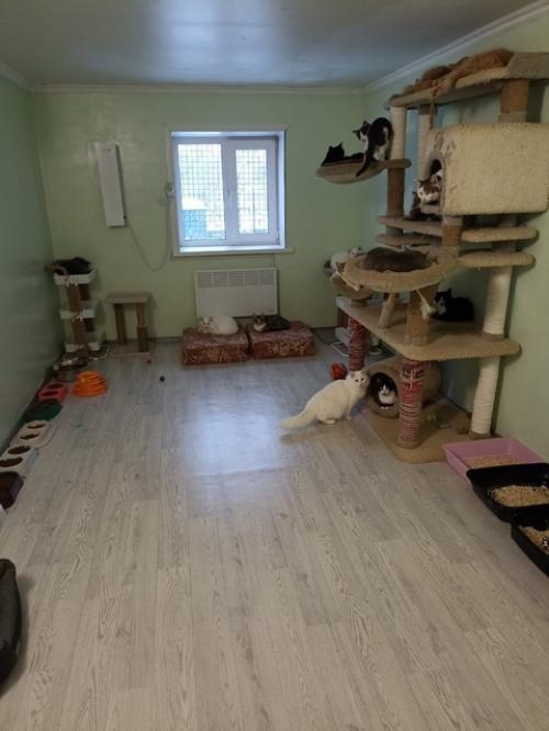 Субботник и воскресник состоялись. 09