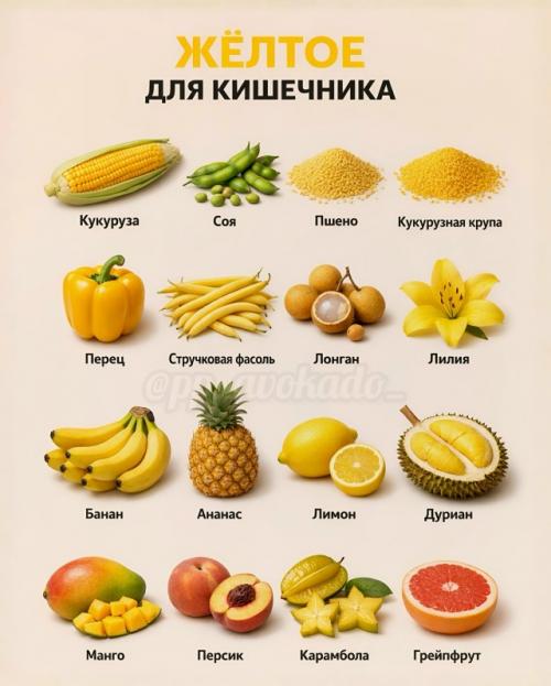 Еда может работать как поддержка для организма, если выбирать её осознанно. 01