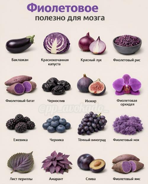 Еда может работать как поддержка для организма, если выбирать её осознанно. 03