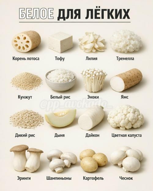 Еда может работать как поддержка для организма, если выбирать её осознанно. 04