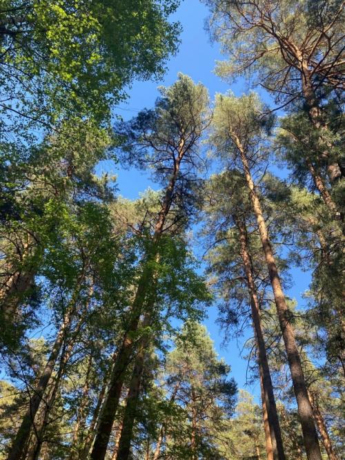 Немного жизненного.  В последнее время постоянно попадается тема Променяла бы ты Москву на Деревню. 05