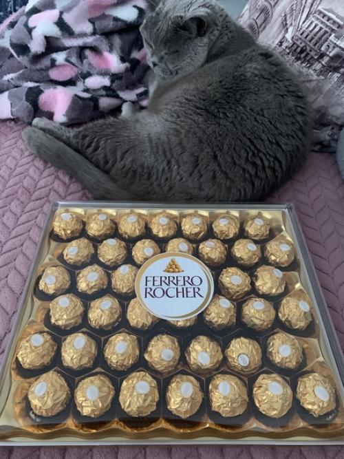 Вот как тут похудеешь к лету, если вкусные предвестники 8 марта уже посыпались от благодарных клиентов? 01