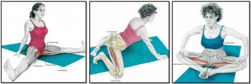 Упражнения на растяжку или расти мышца большая и очень большая. 08