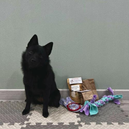 Несколько недель тишины в группе, но я наконец - то могу рассказать чем была так занята. 03