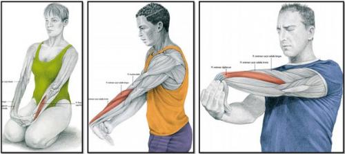 Упражнения на растяжку или расти мышца большая и очень большая. 04