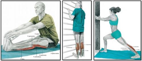 Упражнения на растяжку или расти мышца большая и очень большая. 06
