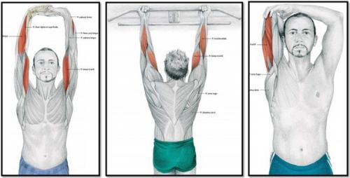Упражнения на растяжку или расти мышца большая и очень большая. 03